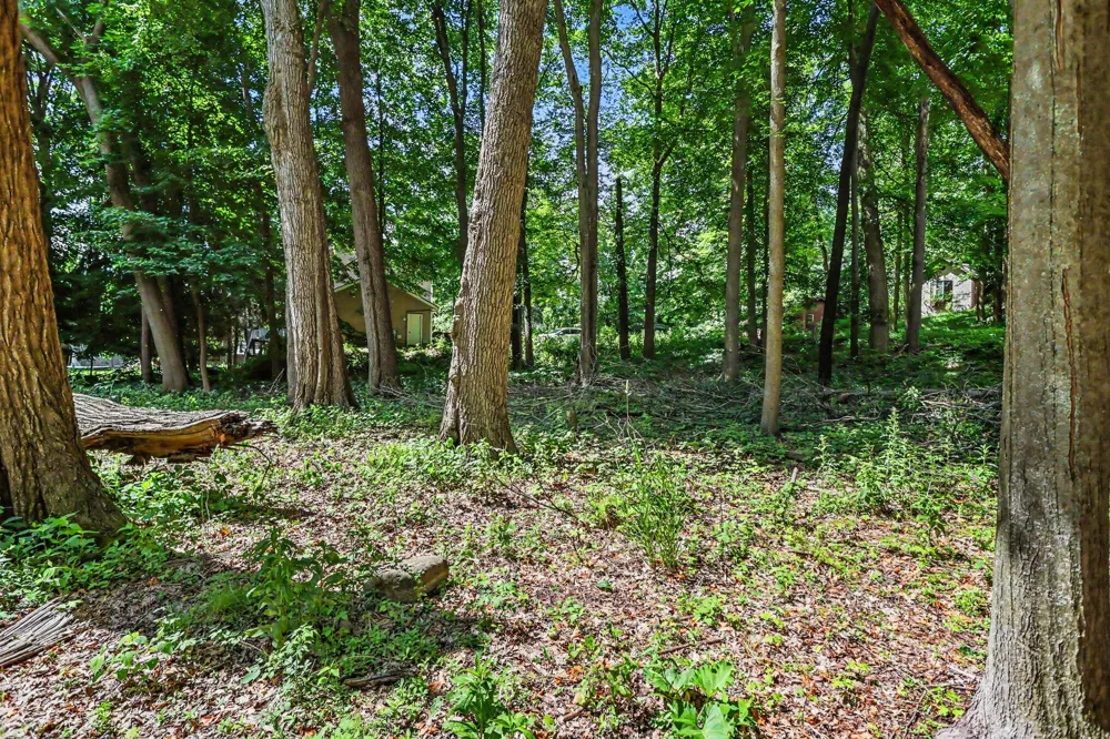 911 Wooded Lane Marshall, MI 49068