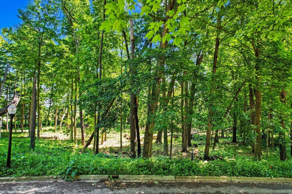 911 Wooded Lane Marshall, MI 49068