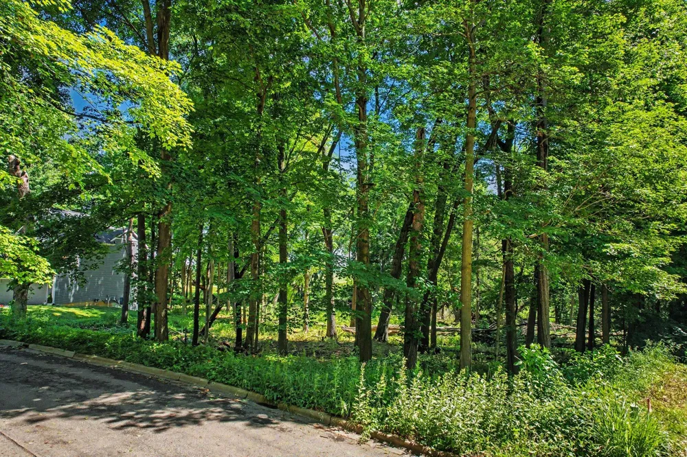 911 Wooded Lane Marshall, MI 49068