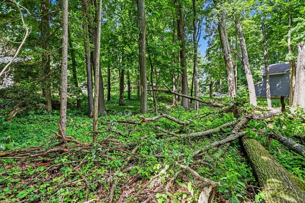 911 Wooded Lane Marshall, MI 49068