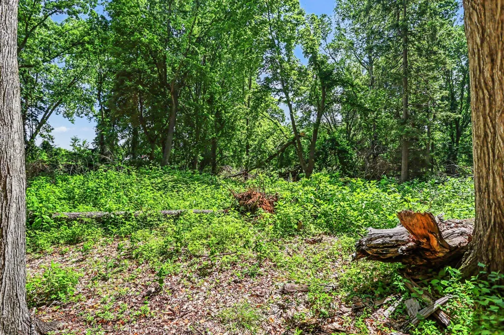 911 Wooded Lane Marshall, MI 49068