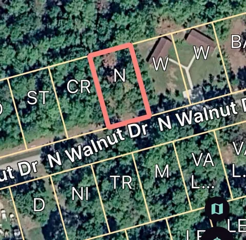 56 Walnut Drive Drive