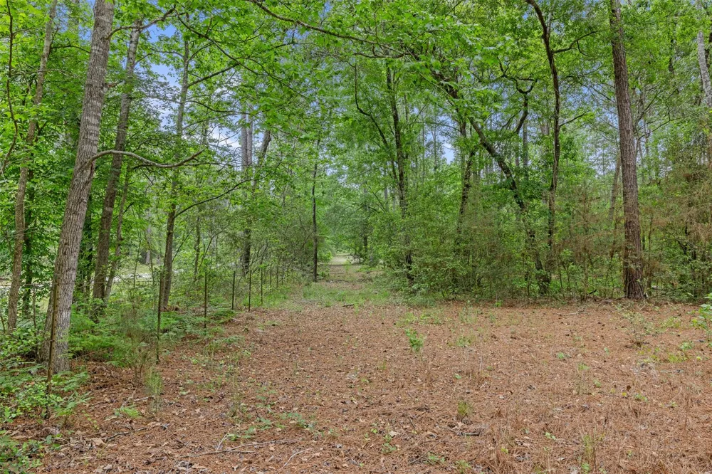 2092 Fm 1486 Anderson, TX 77830
