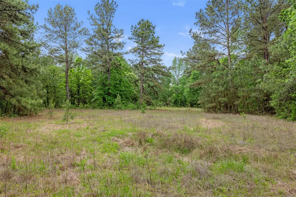2092 Fm 1486 Anderson, TX 77830