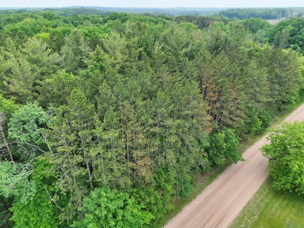 2 Ritchie Avenue NE Cedar Springs, MI 49319