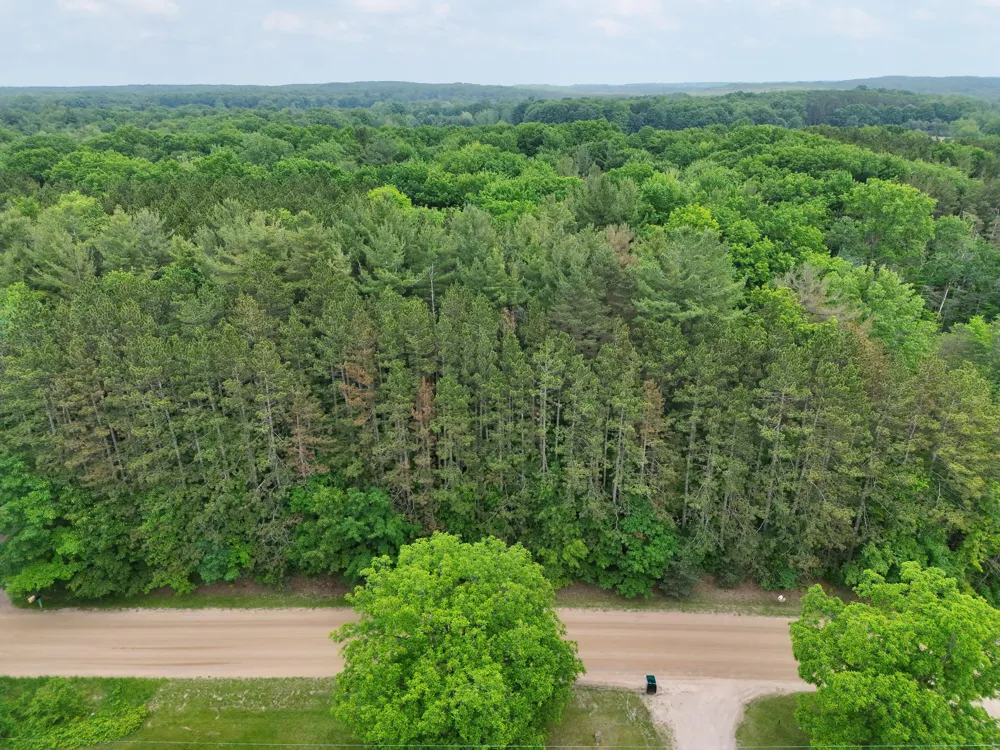 2 Ritchie Avenue NE Cedar Springs, MI 49319