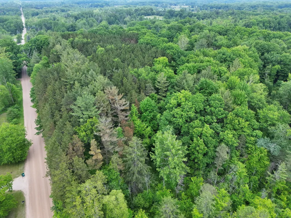 2 Ritchie Avenue NE Cedar Springs, MI 49319