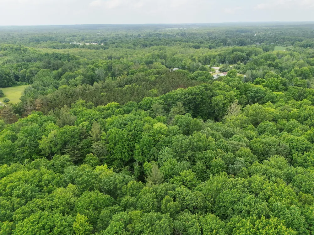 2 Ritchie Avenue NE Cedar Springs, MI 49319
