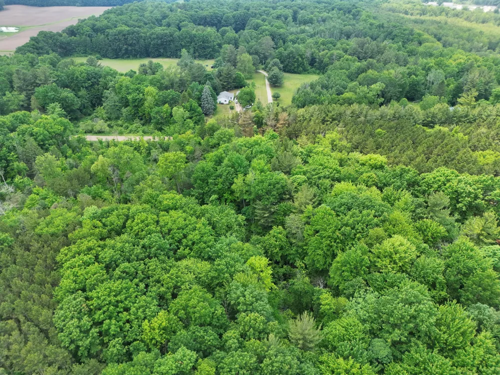 2 Ritchie Avenue NE Cedar Springs, MI 49319