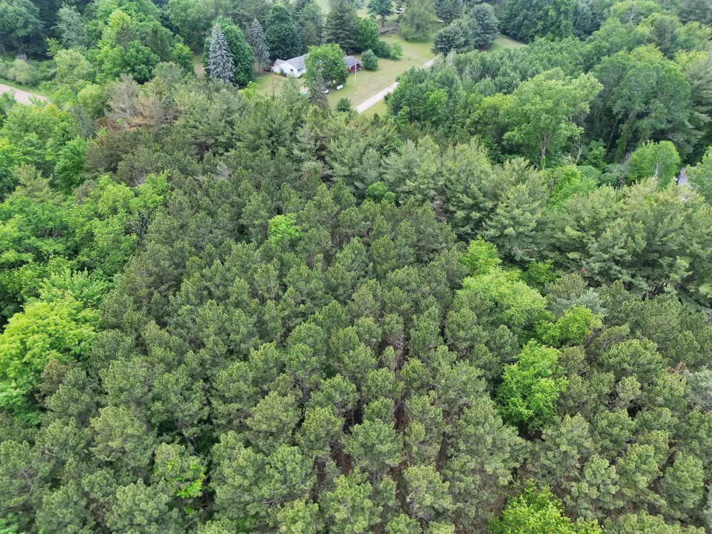 2 Ritchie Avenue NE Cedar Springs, MI 49319