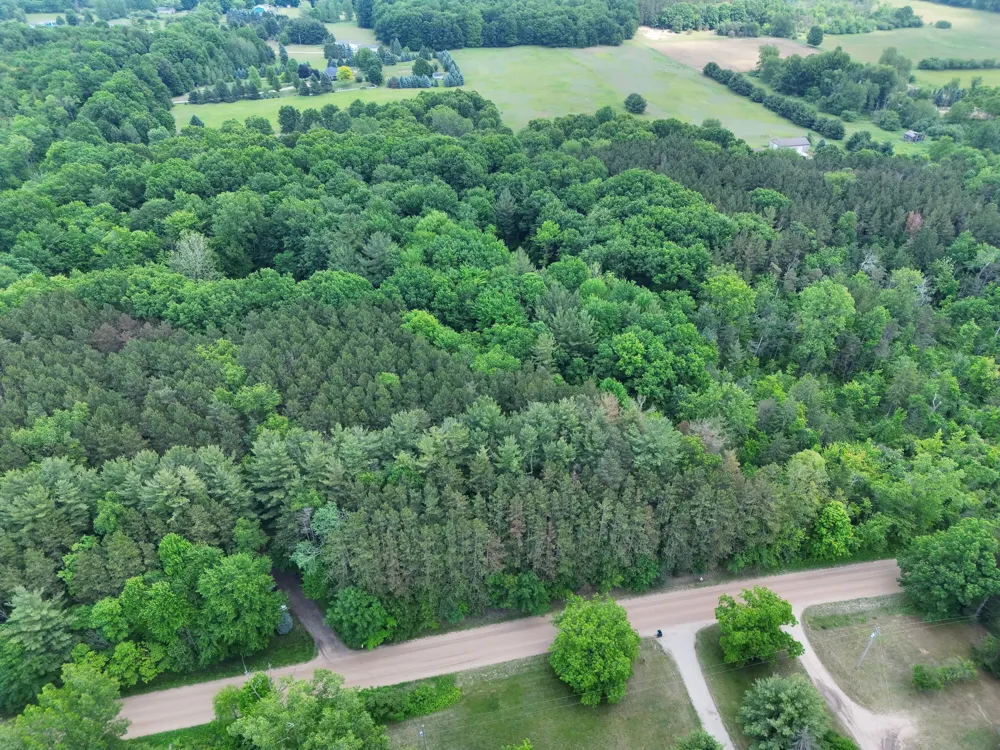 2 Ritchie Avenue NE Cedar Springs, MI 49319