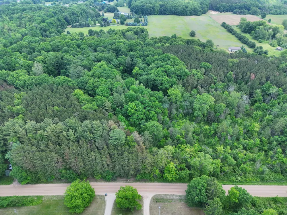 2 Ritchie Avenue NE Cedar Springs, MI 49319