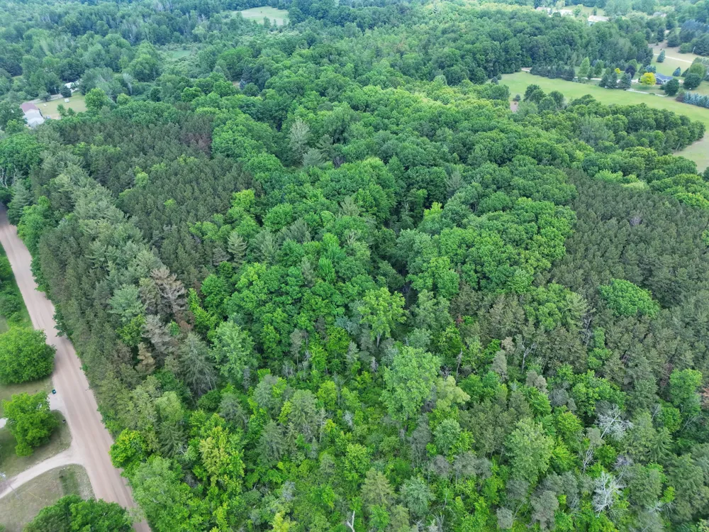 2 Ritchie Avenue NE Cedar Springs, MI 49319