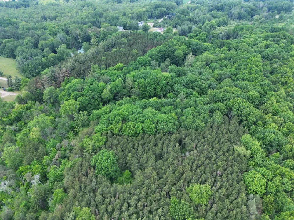2 Ritchie Avenue NE Cedar Springs, MI 49319
