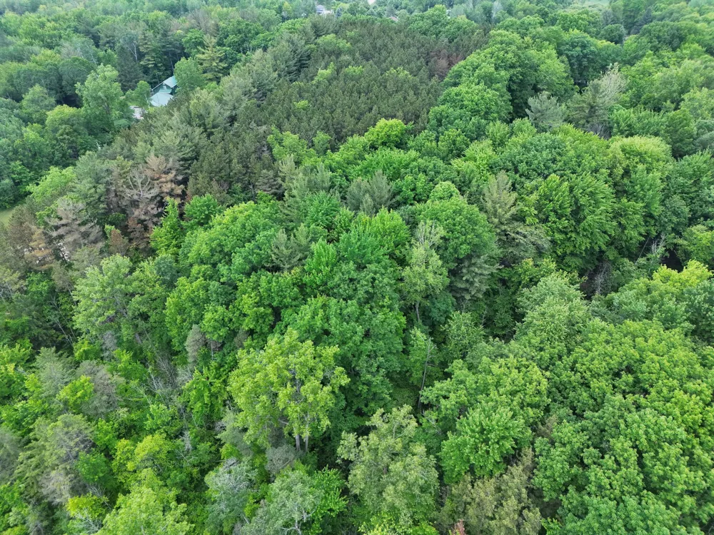 2 Ritchie Avenue NE Cedar Springs, MI 49319