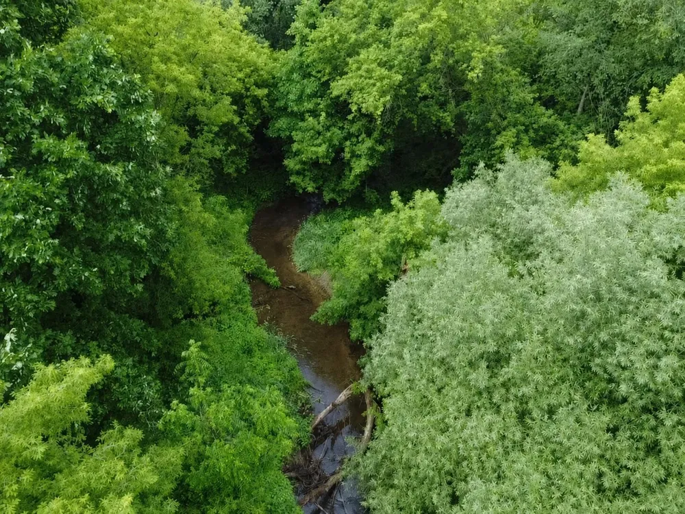 Hough Road Almont, MI 48003