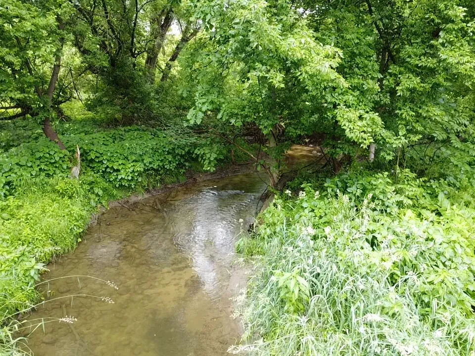Hough Road Almont, MI 48003