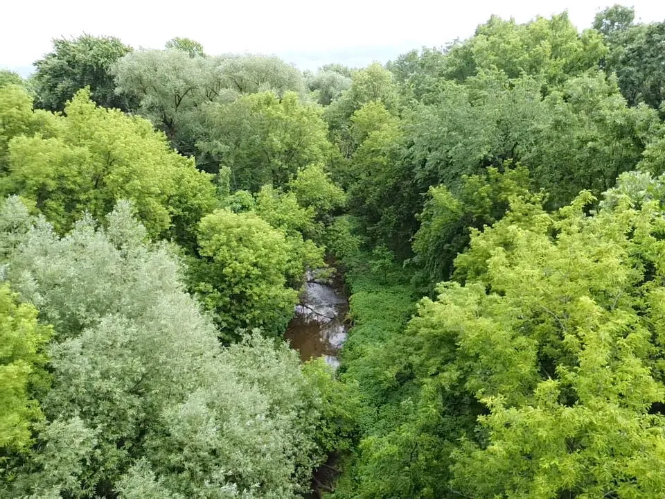 Hough Road Almont, MI 48003