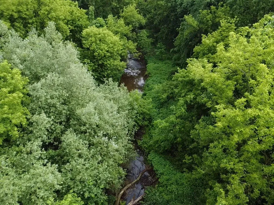 Hough Road Almont, MI 48003