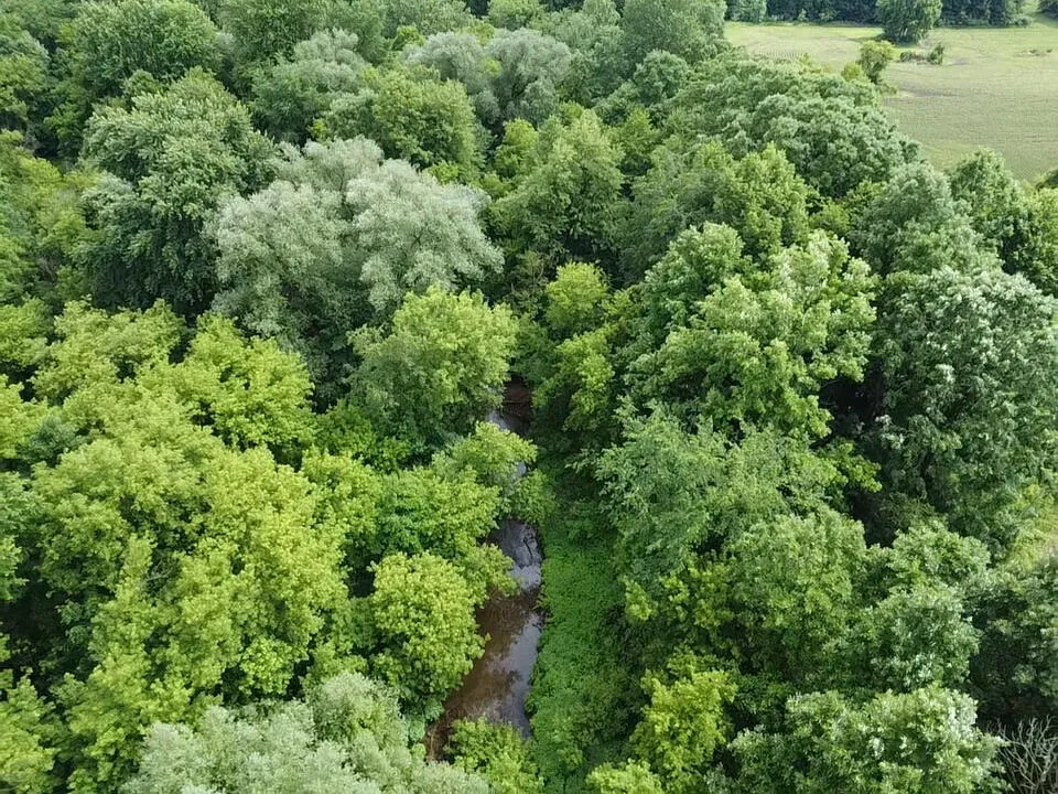 Hough Road Almont, MI 48003