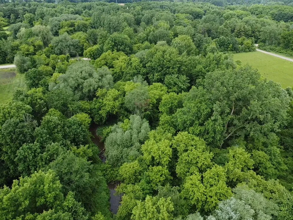 Hough Road Almont, MI 48003