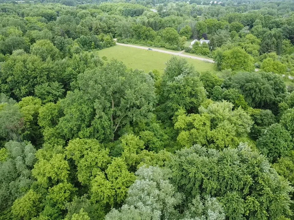 Hough Road Almont, MI 48003