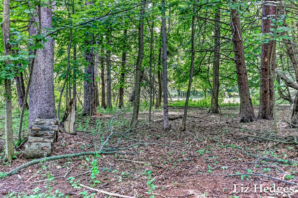 6285 S Shore Whitehall, MI 49461