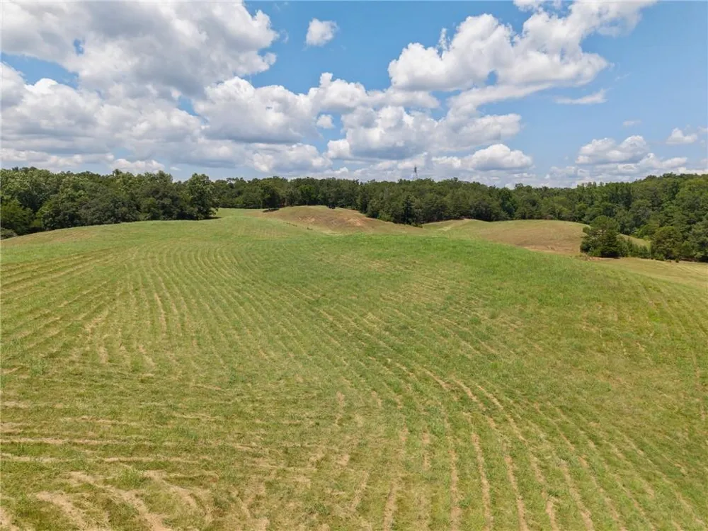 0 MOUNT PLEASANT ROAD NE Fairmount, GA 30139