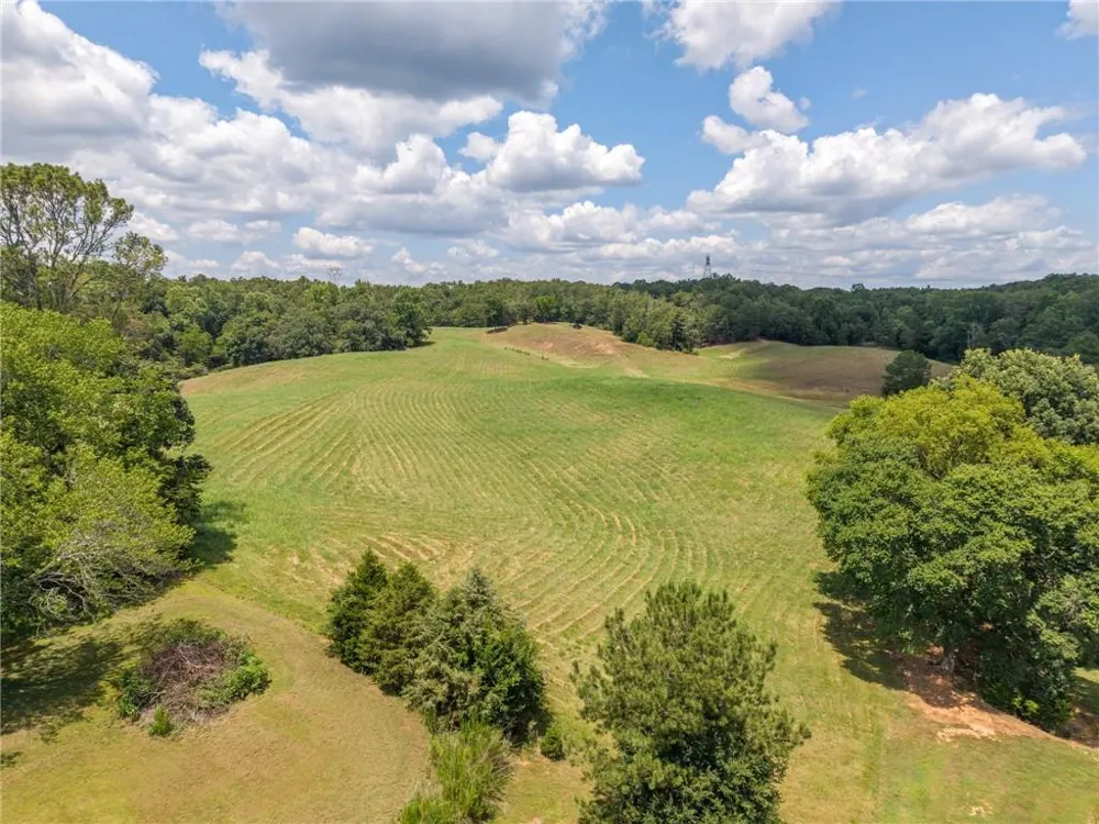 0 MOUNT PLEASANT ROAD NE Fairmount, GA 30139