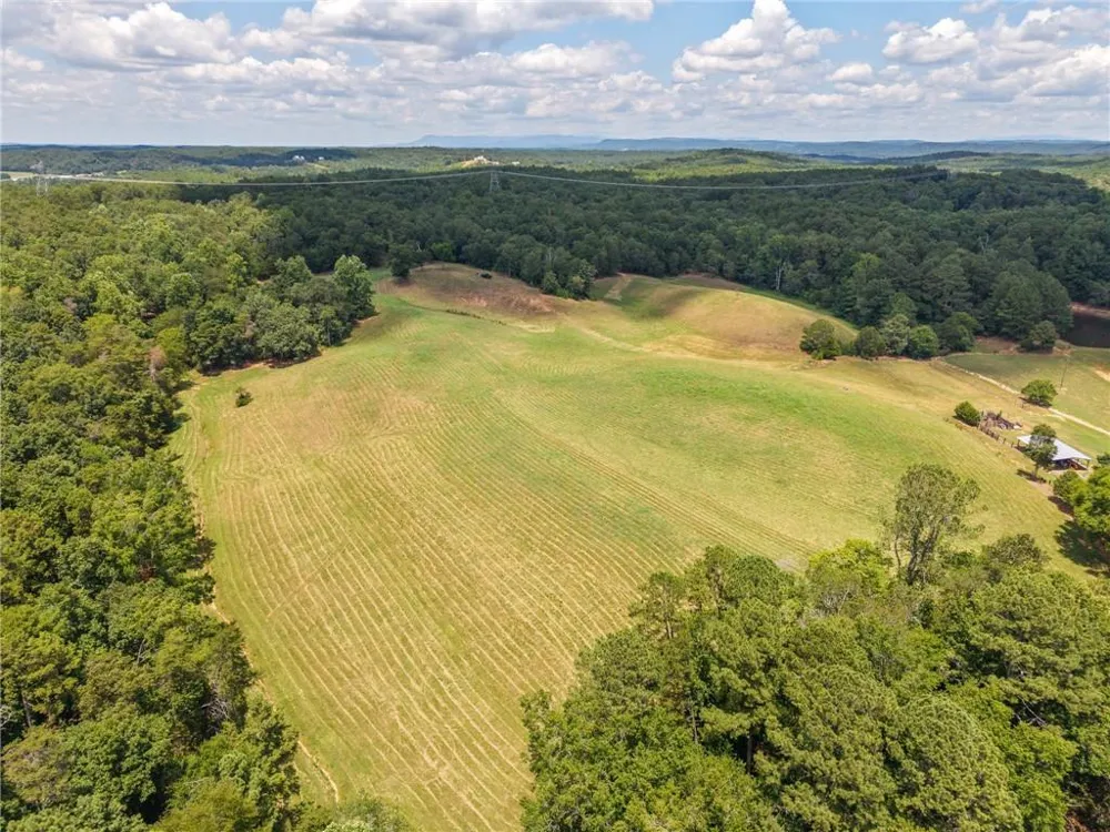 0 MOUNT PLEASANT ROAD NE Fairmount, GA 30139