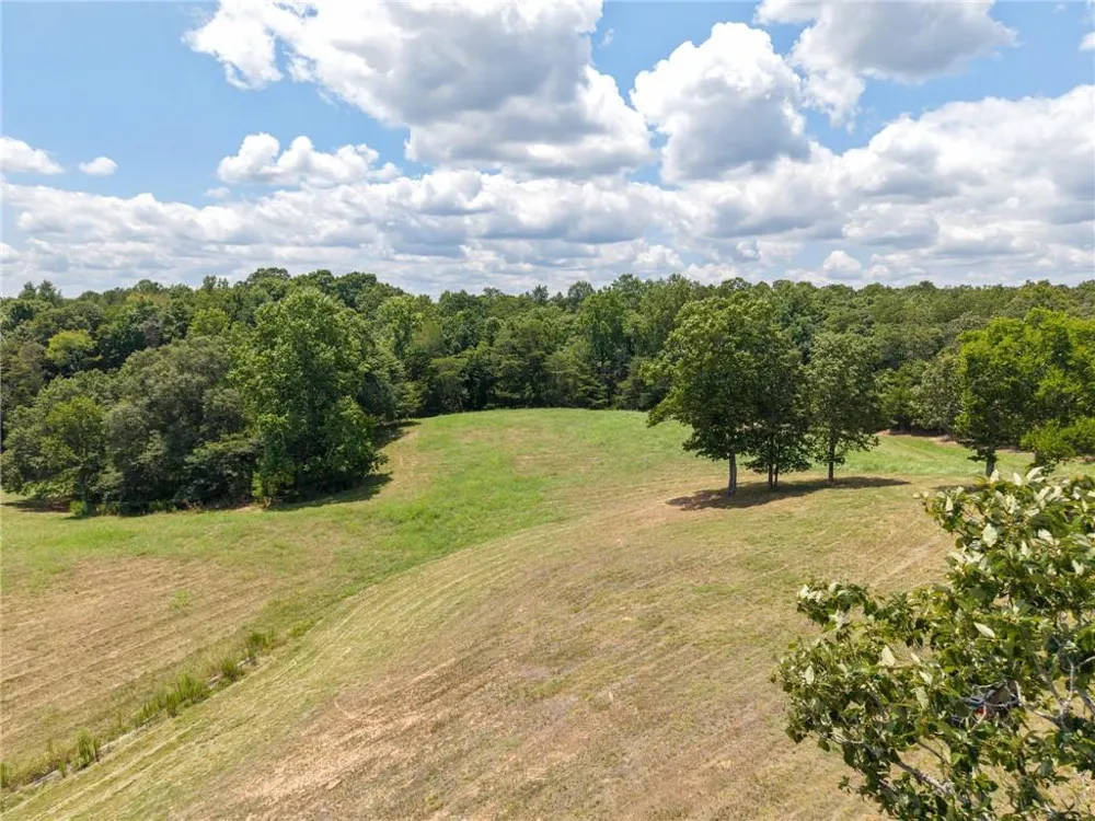 0 MOUNT PLEASANT ROAD NE Fairmount, GA 30139