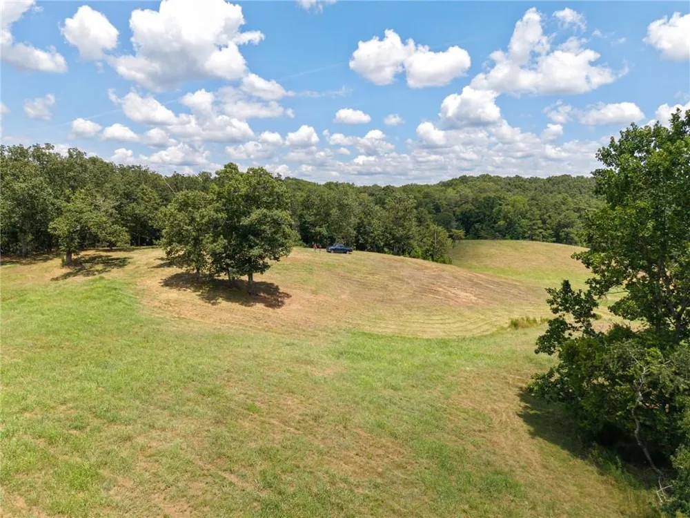 0 MOUNT PLEASANT ROAD NE Fairmount, GA 30139