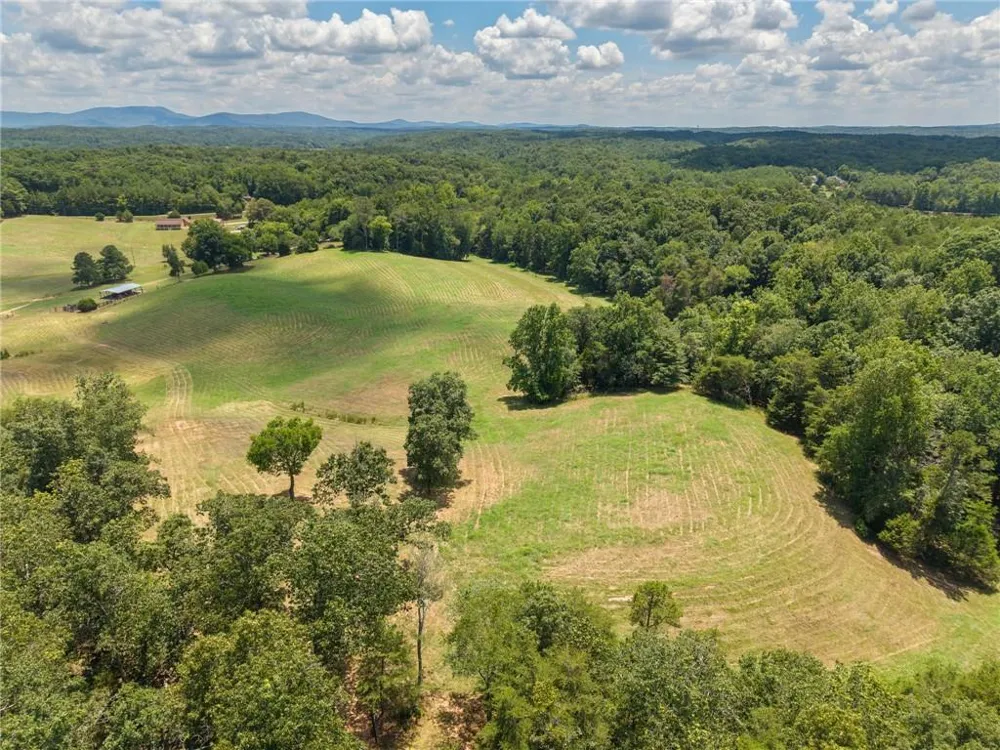 0 MOUNT PLEASANT ROAD NE Fairmount, GA 30139