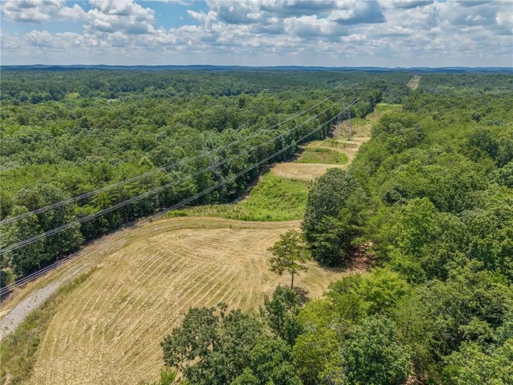 0 MOUNT PLEASANT ROAD NE Fairmount, GA 30139