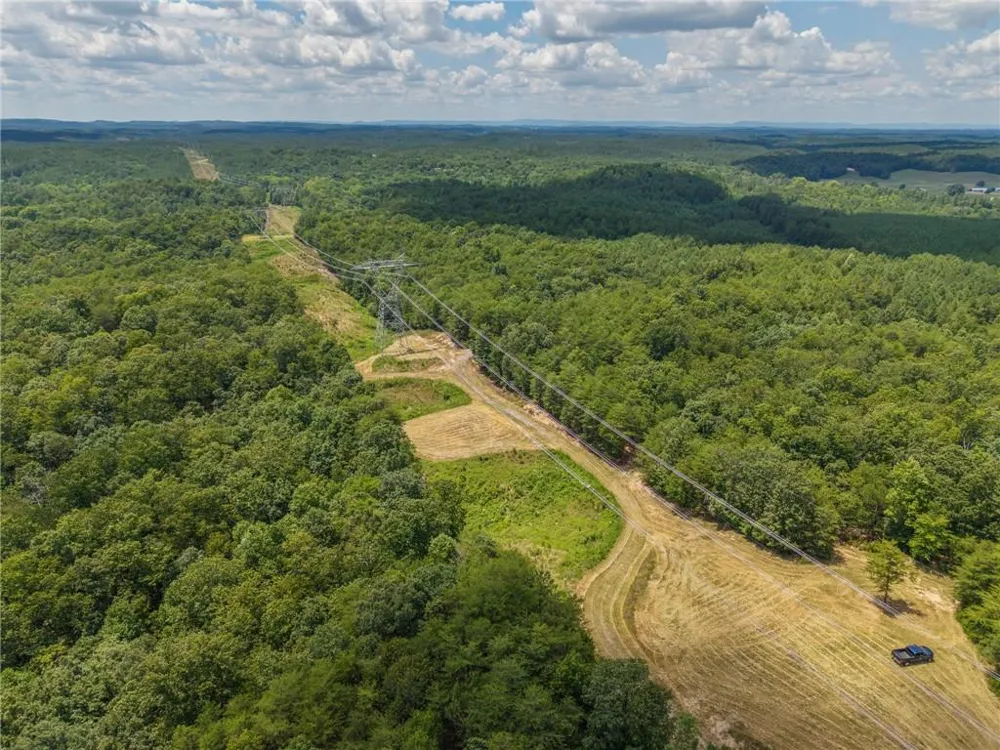 0 MOUNT PLEASANT ROAD NE Fairmount, GA 30139