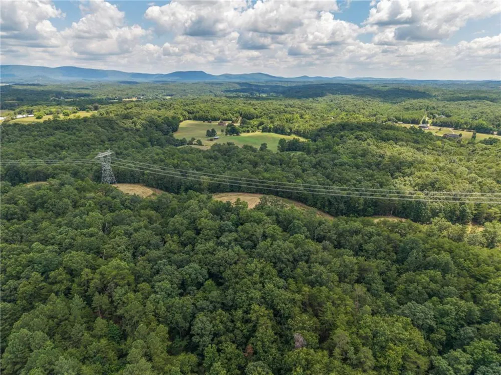 0 MOUNT PLEASANT ROAD NE Fairmount, GA 30139