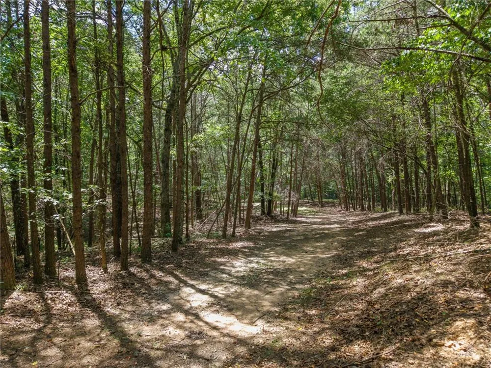 0 MOUNT PLEASANT ROAD NE Fairmount, GA 30139