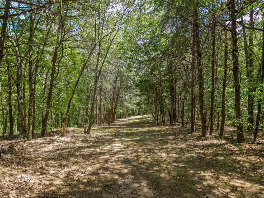 0 MOUNT PLEASANT ROAD NE Fairmount, GA 30139