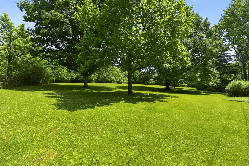48377 Gyde Road Canton, MI 48187