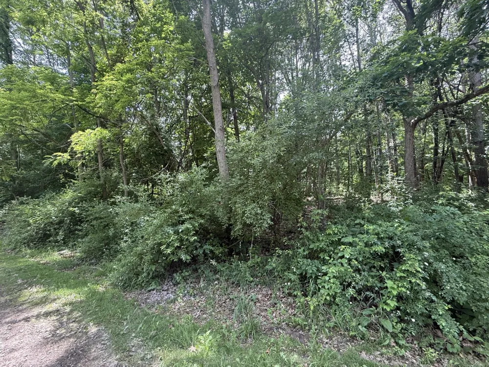 Longbridge Road Pentwater, MI 49449