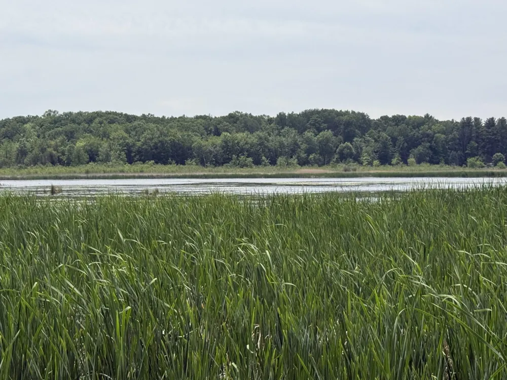 Longbridge Road Pentwater, MI 49449