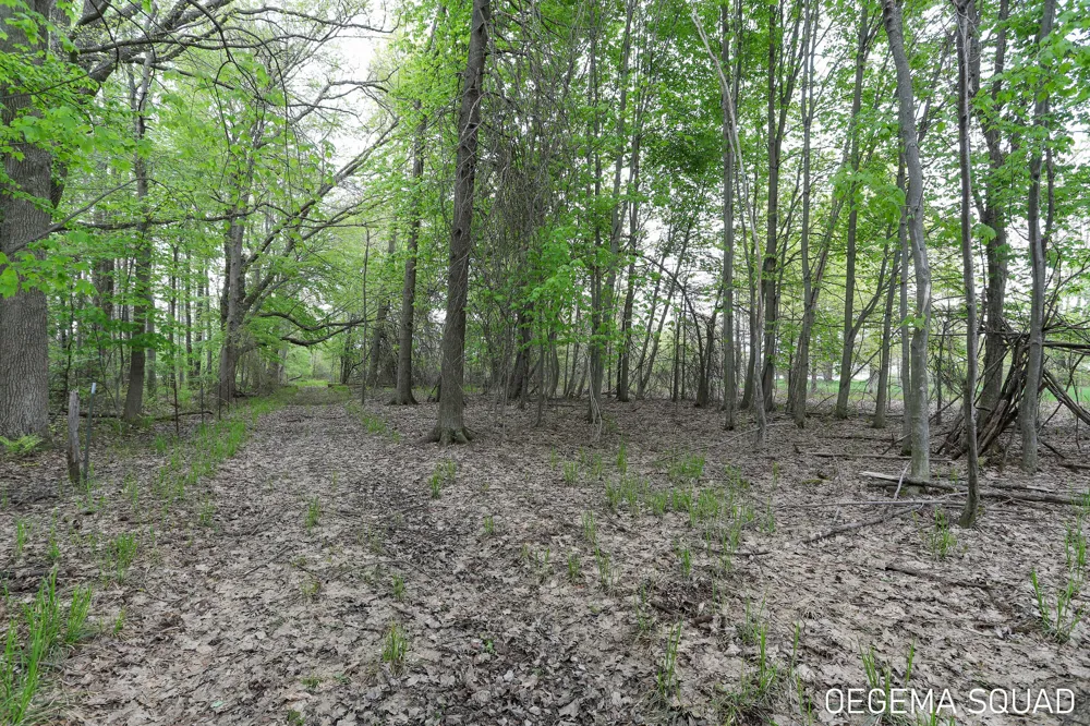 5391 Eaglepass Drive Hudsonville, MI 49426