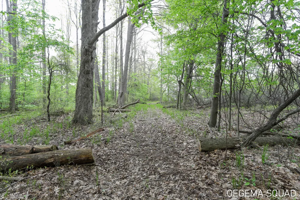 5391 Eaglepass Drive Hudsonville, MI 49426