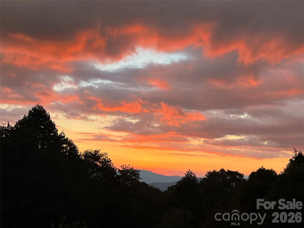 109 Cold Deck Way #151 Sylva, NC 28779