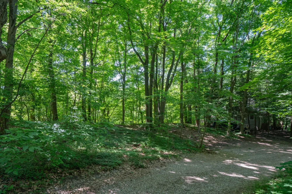 Ramblewood Circle Covert, MI 49043