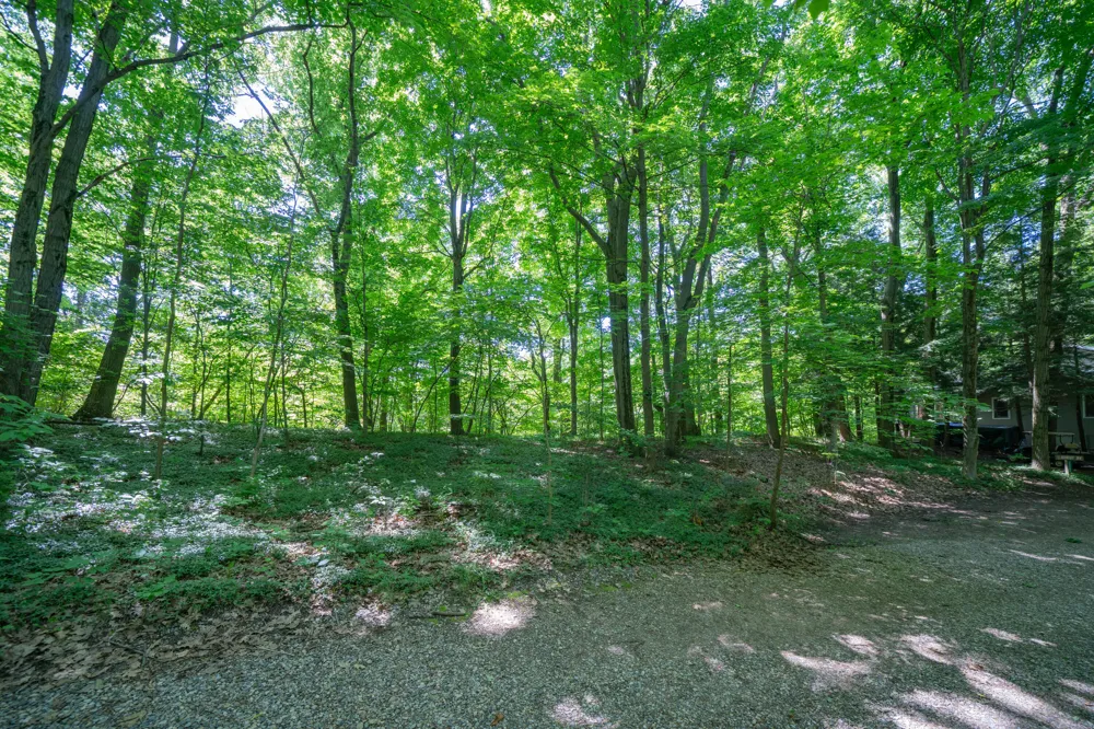 Ramblewood Circle Covert, MI 49043
