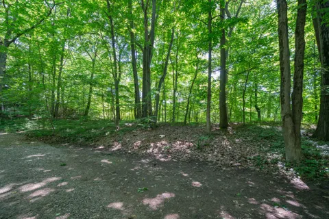 Ramblewood Circle