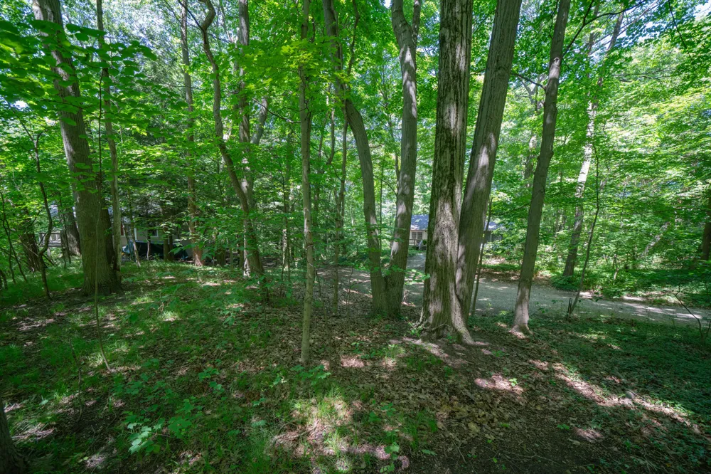 Ramblewood Circle Covert, MI 49043