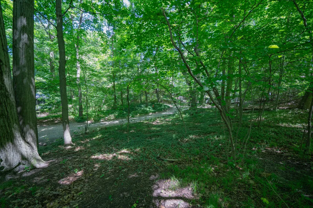 Ramblewood Circle Covert, MI 49043