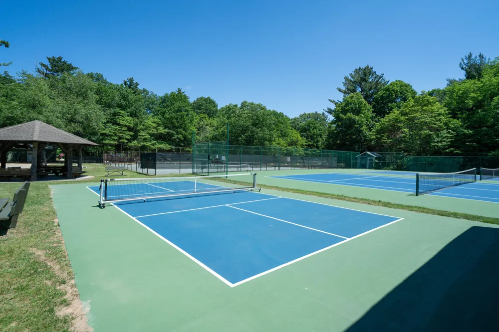 Ramblewood Circle Covert, MI 49043